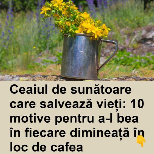 Ceaiul de sunătoare care salvează vieți: 10 motive pentru a-l bea în fiecare dimineață în loc de cafea