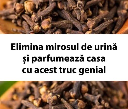 Elimina mirosul de urină și parfumează casa cu acest truc genial