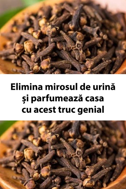 Elimina mirosul de urină și parfumează casa cu acest truc genial