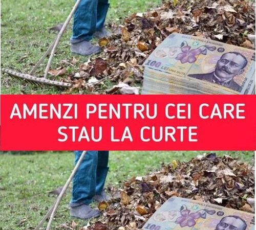 Anunț de ultimă oră pentru românii care stau la curte! Greșeala uriașă care îți poate aduce amenzi de 20.000 de lei