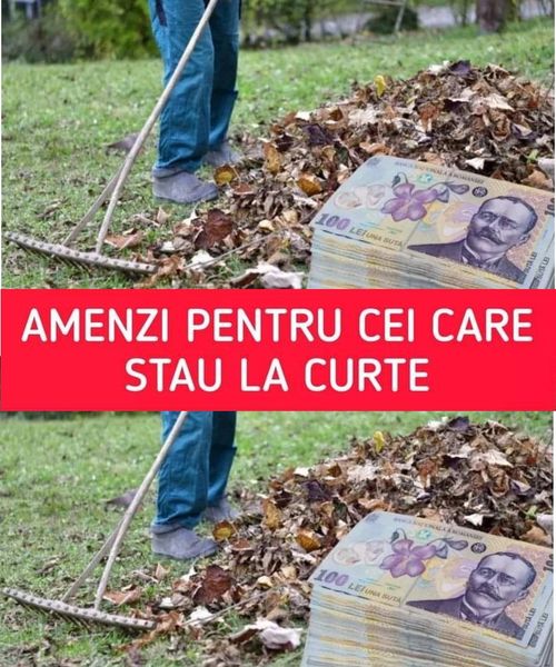 Anunț de ultimă oră pentru românii care stau la curte! Greșeala uriașă care îți poate aduce amenzi de 20.000 de lei