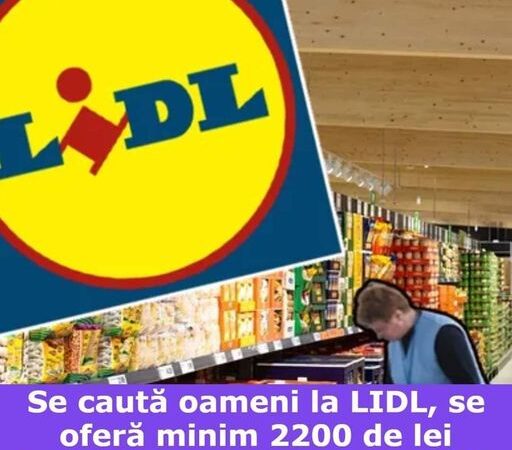 Salariul Femeii De Serviciu La Lidl