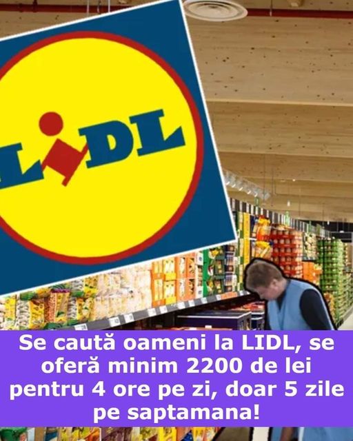 Salariul Femeii De Serviciu La Lidl