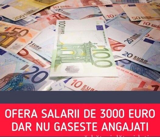 Oferă salarii de aproape 3.000 de euro pe lună și nu găsește oameni. Mărturia unui patron