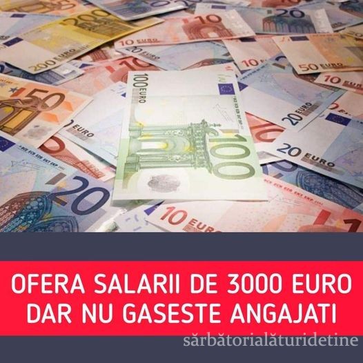 Oferă salarii de aproape 3.000 de euro pe lună și nu găsește oameni. Mărturia unui patron