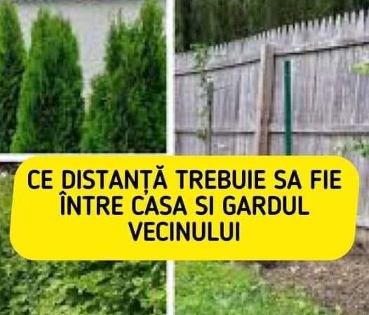 Ce distanță trebuie să fie între casă și gardul vecinului. Ce scrie în lege de fapt