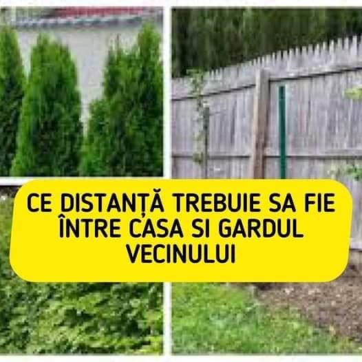 Ce distanță trebuie să fie între casă și gardul vecinului. Ce scrie în lege de fapt