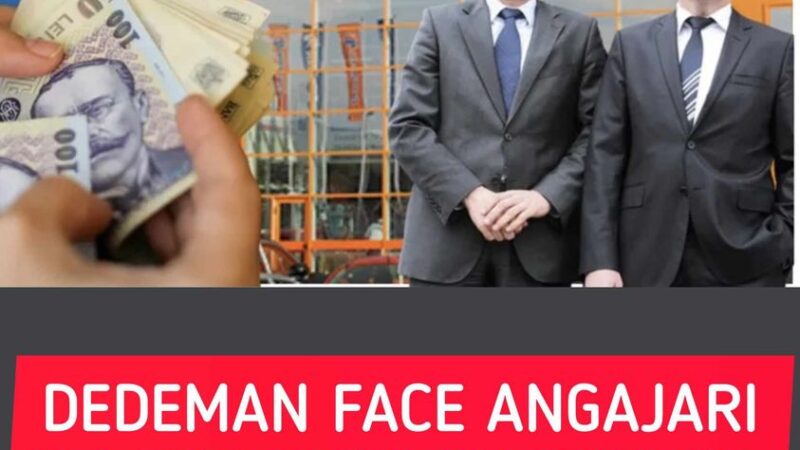 Dedeman face angajări masive în România Frații Pavăl nu se uită la bani și oferă salarii chiar și de 10.000 de lei pe lună