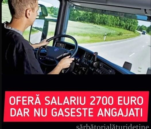 Ai Carnet De Şofer Te Angajează Imediat Ofer Salarii De 2.700 De Euro Pe Lună Pentru 3-4 Ore Pe Zi