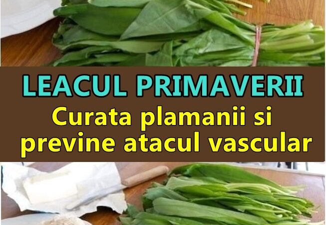 Cunoscută ca remediu de milenii leurda este leacul din lunile de primăvară pe care natura ni-l oferă pentru ca organismul nostru să se curețe de toxine și să își întărească sistemul imunitar