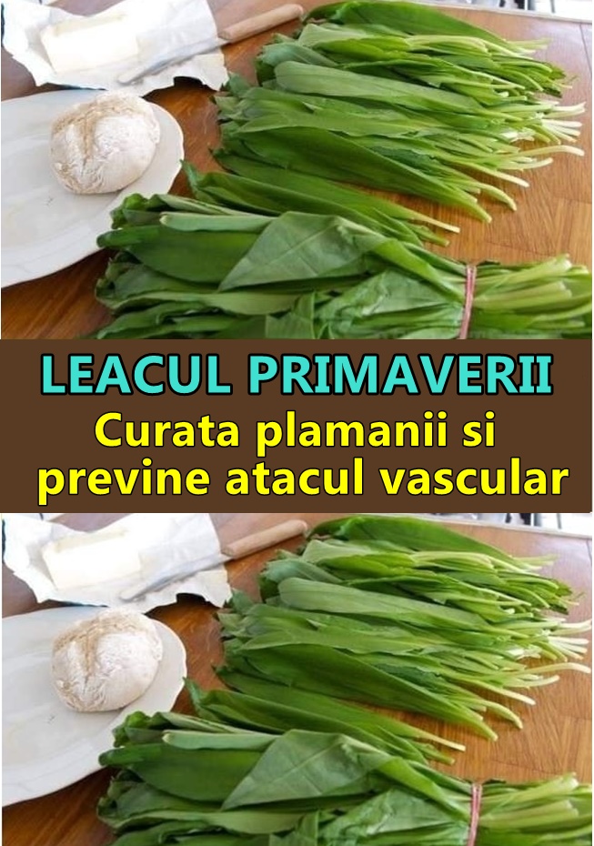 Cunoscută ca remediu de milenii leurda este leacul din lunile de primăvară pe care natura ni-l oferă pentru ca organismul nostru să se curețe de toxine și să își întărească sistemul imunitar