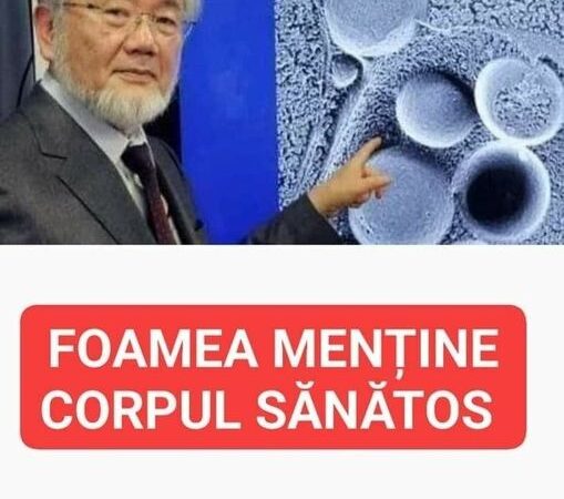 Când organismului uman îi este foame se mănâncă singur face un proces de curățare începe prin a elimina toate celulele bolnave cancerul și celulele îmbătrânite