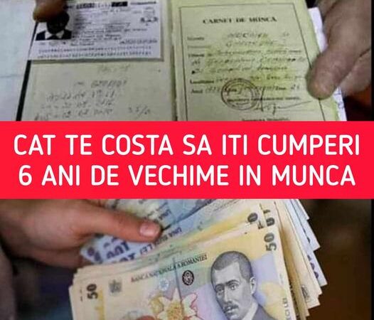 Cat te costa ca sa-ti cumperi 6 ani de vechime in munca in 2024