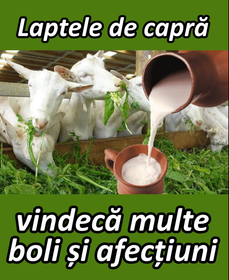 În lumea naturală există surse nesfârșite de sănătate și vindecare iar laptele de capră se numără printre acestea