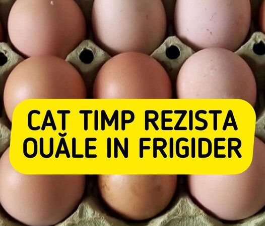 Cât Timp Rezistă Ouăle De Țară În Frigider. Greșeala Pe Care Majoritatea Românilor O Fac