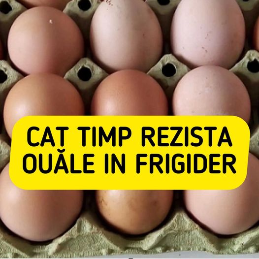 Cât Timp Rezistă Ouăle De Țară În Frigider. Greșeala Pe Care Majoritatea Românilor O Fac