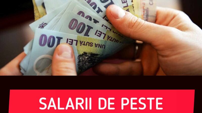 CNAS anunță concurs pentru trei posturi de specialiști IT salarii de peste 37.000 lei brut Cum te poți înscrie și care sunt condițiile