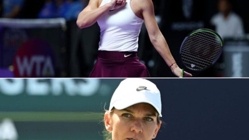 Vestea Pe Care O Aștepta Simona Halep. Au Semnat Managerul Avocatul Și Darren Cahill