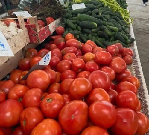 Prețul tomatelor din Matca în scădere dramatică