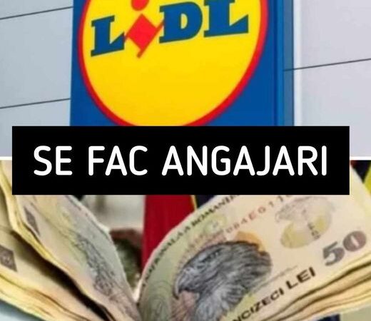 Lidl România oferă joburi stabile și salarii competitive