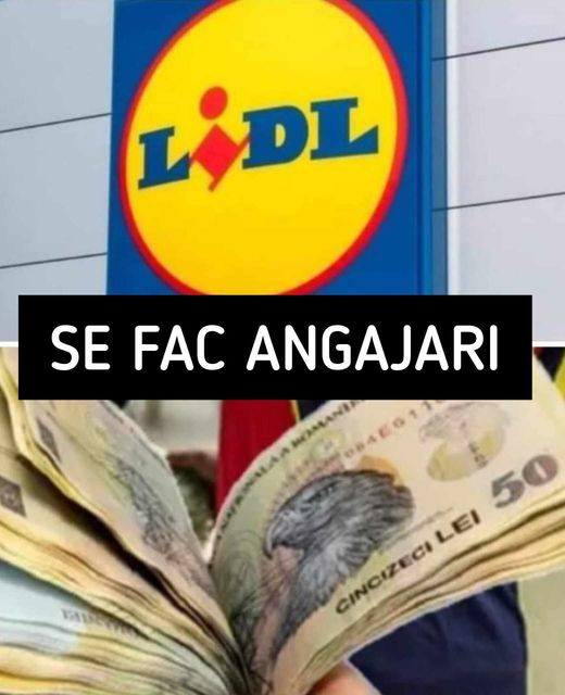 Lidl România oferă joburi stabile și salarii competitive