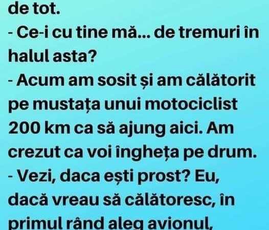 Doi Purici Se Întâlnesc Pe Plajă. Continuarea Geniala