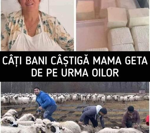 Mama Geta și copiii ei  succesul din spatele oilor