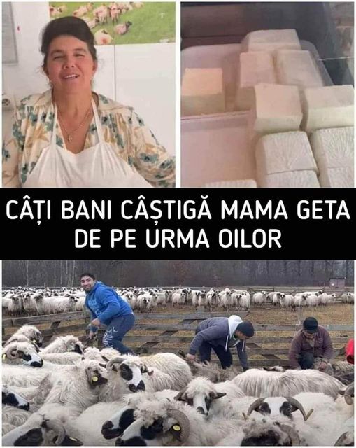 Mama Geta și copiii ei  succesul din spatele oilor