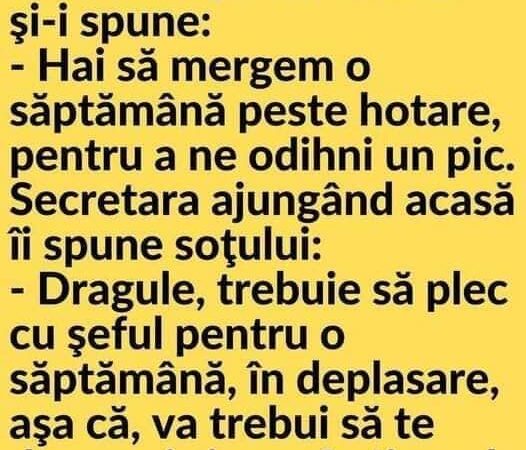 Directorul unei companii o cheamă pe secretară