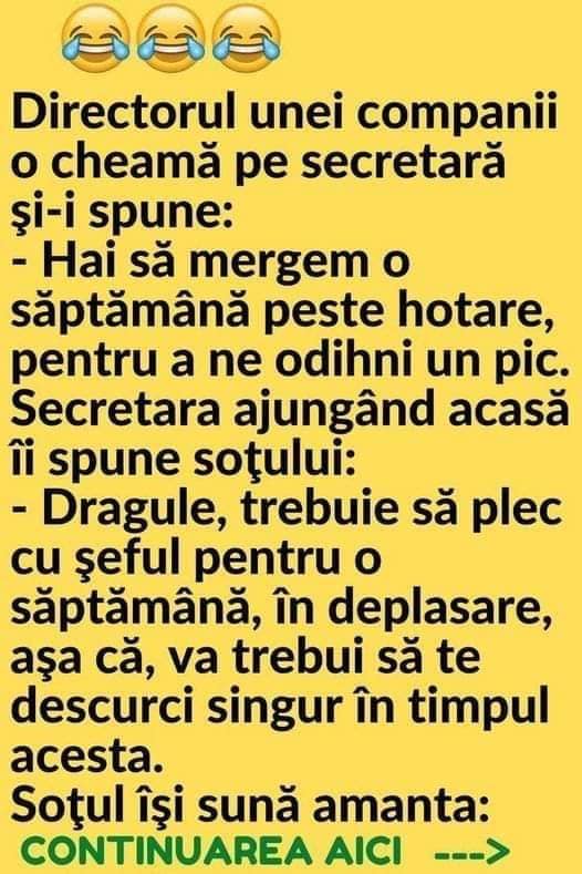 Directorul unei companii o cheamă pe secretară