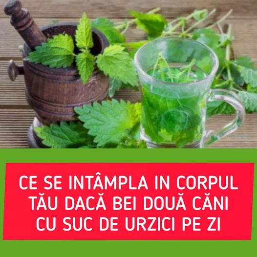 A băut două căni de suc de urzici zilnic timp de o lună. Ce s-a întâmplat în corpul lui