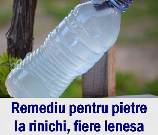 Remediu natural pentru pietre la rinichi fiere leneșă și afecțiuni oculare LACRIMILE VIŢEI DE VIE