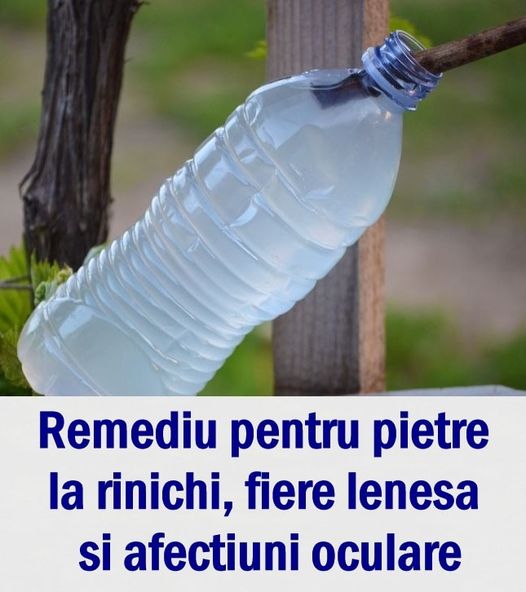 Remediu natural pentru pietre la rinichi fiere leneșă și afecțiuni oculare LACRIMILE VIŢEI DE VIE