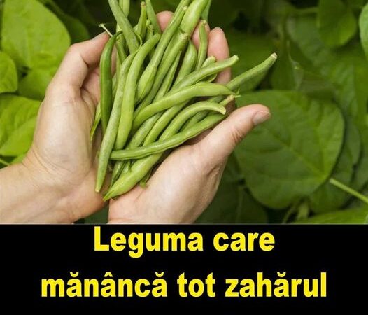 Leguma banală care mânâncă zaharul din organism