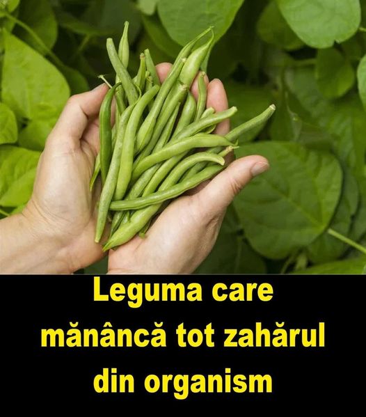 Leguma banală care mânâncă zaharul din organism