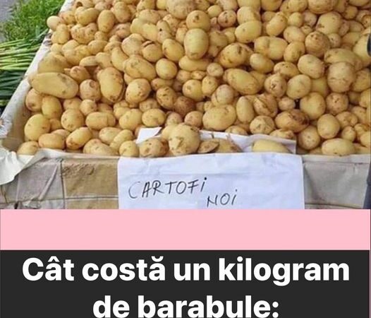 Prima recoltă de cartofi noi românești a ajuns în piețele din țară. Cât costă un kilogram de barabule