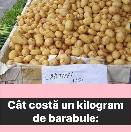 Prima recoltă de cartofi noi românești a ajuns în piețele din țară. Cât costă un kilogram de barabule