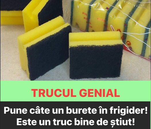 Iată de ce unele gospodine pun câte un burete în frigider Este un truc bine de știut