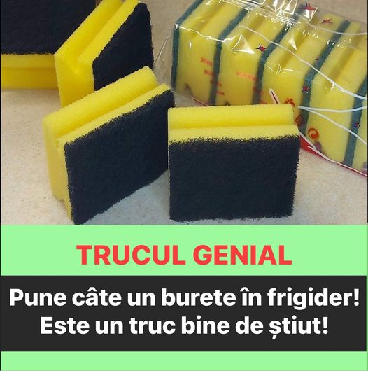 Iată de ce unele gospodine pun câte un burete în frigider Este un truc bine de știut