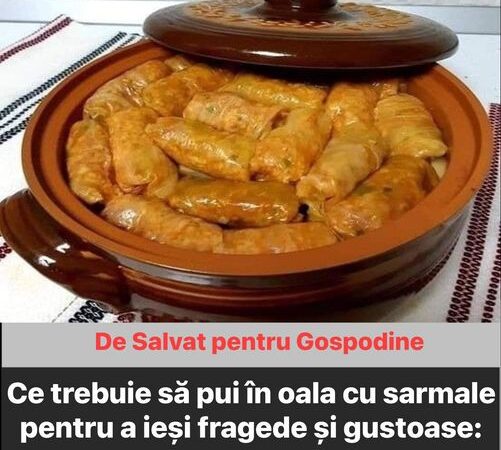 Pentru Gospodine  Ingredientul pe care trebuie să îl pui în oala cu sarmale pentru a ieși fragede și gustoase