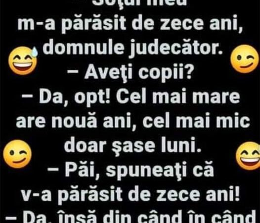 Soțul meu m-a părăsit de 10 ani domnule judecător