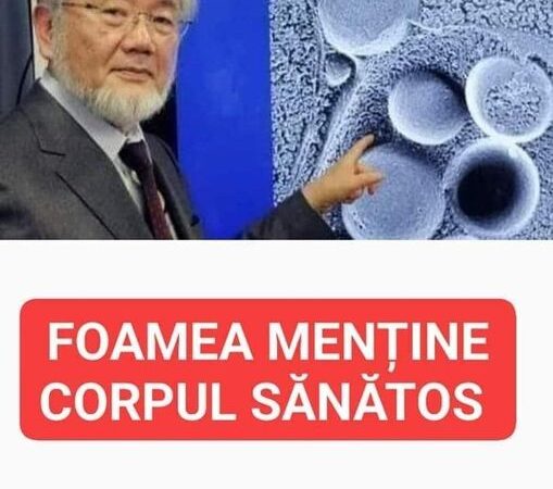 Dieta unui japonez laureat al Premiului Nobel care face furori în lume. Are multiple beneficii pentru organism