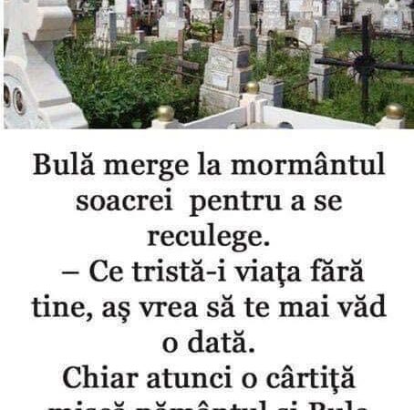 Bulă visează numărul 7. Se trezește buimac se uită la ceas și vede ora 707. Continuarea e genială