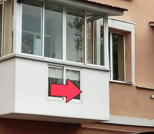 Cățel cu propriul geam la balcon Imaginea a ajunsă virală pe Internet Mai există oameni cu suflet