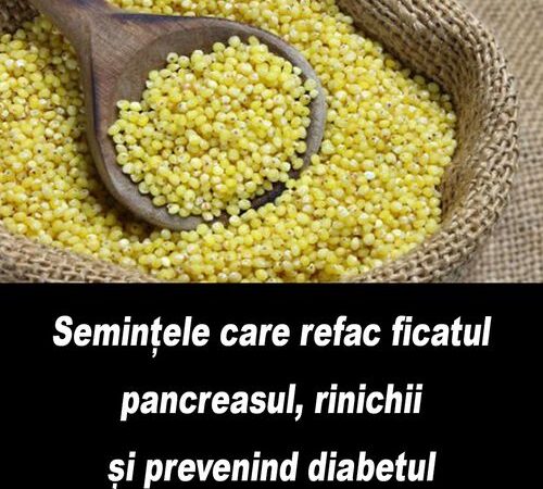 Semințele care refac ficatul pancreasul și rinichii prevenind diabetul Cum se folosesc