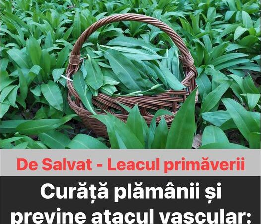 Leacul primăverii. Curăță plămânii și previne atacul vascular Iată cum trebuie consumată