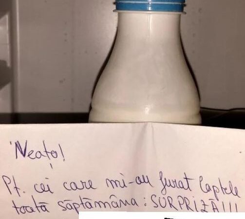 Colegii Îi Furau Mereu Laptele Din Frigider. Într-O Zi Le-A Făcut O Surpriză