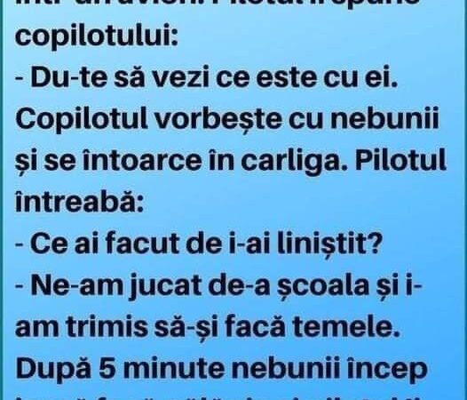 Trei nebuni făceau gălăgie într-un avion