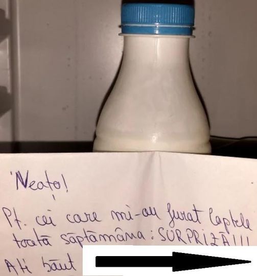 Colegii Îi Furau Mereu Laptele Din Frigider. Într-O Zi Le-A Făcut O Surpriză