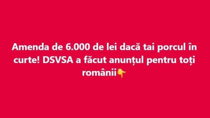 Amenda de 6000 de lei dacă tai porcul în curte DSVSA a făcut anunțul pentru toți românii